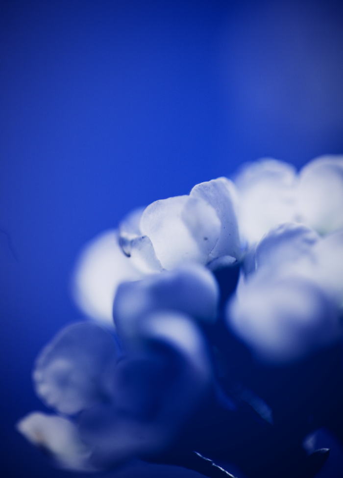 Free HTML5 Bootstrap Template by FREEHTML5.co