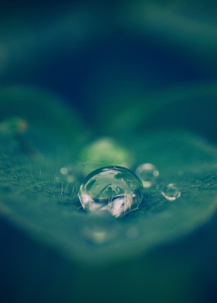 Free HTML5 Bootstrap Template by FREEHTML5.co