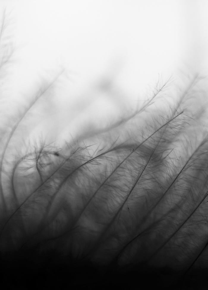 Free HTML5 Bootstrap Template by FREEHTML5.co