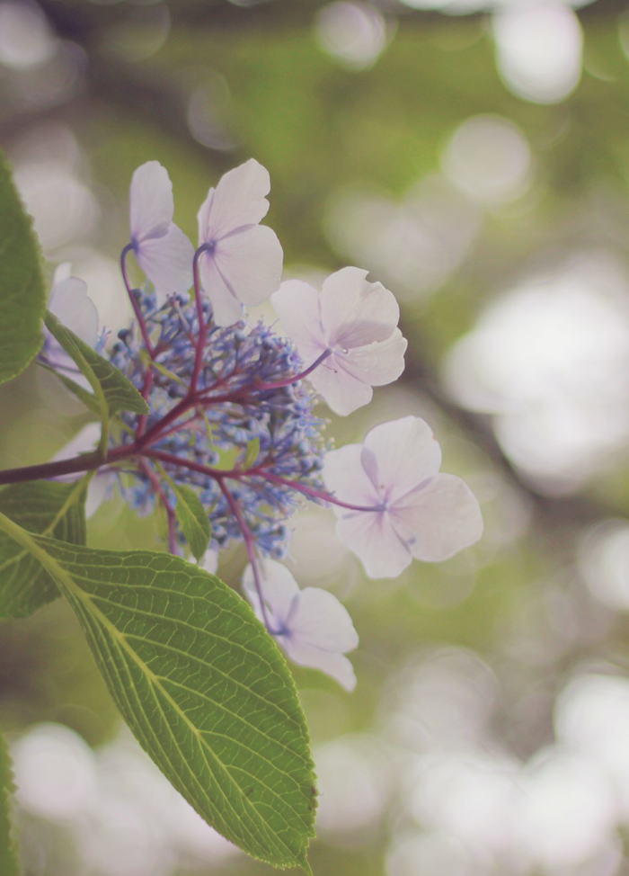 Free HTML5 Bootstrap Template by FREEHTML5.co