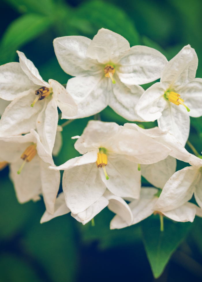 Free HTML5 Bootstrap Template by FREEHTML5.co