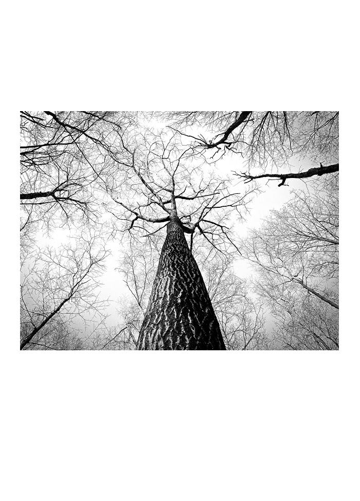 Free HTML5 Bootstrap Template by FREEHTML5.co