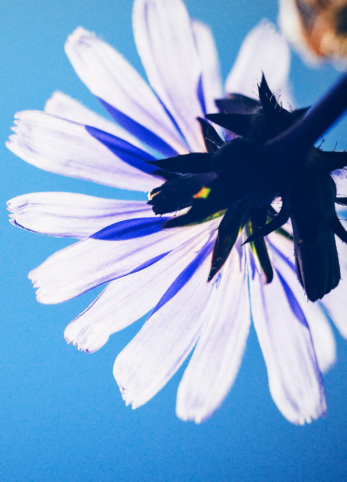 Free HTML5 Bootstrap Template by FREEHTML5.co