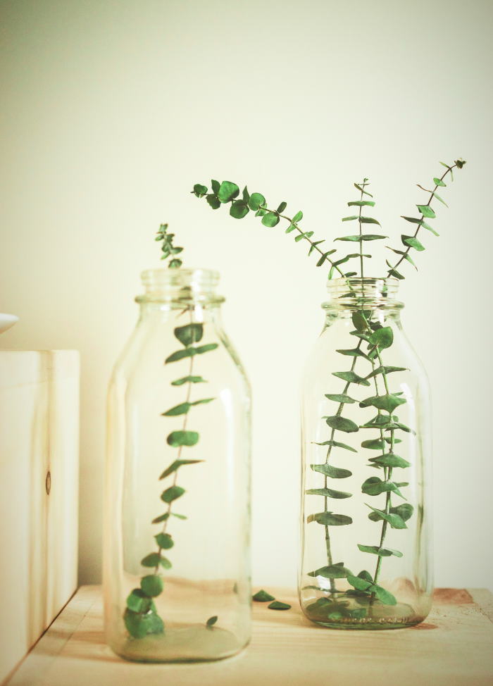 Free HTML5 Bootstrap Template by FREEHTML5.co