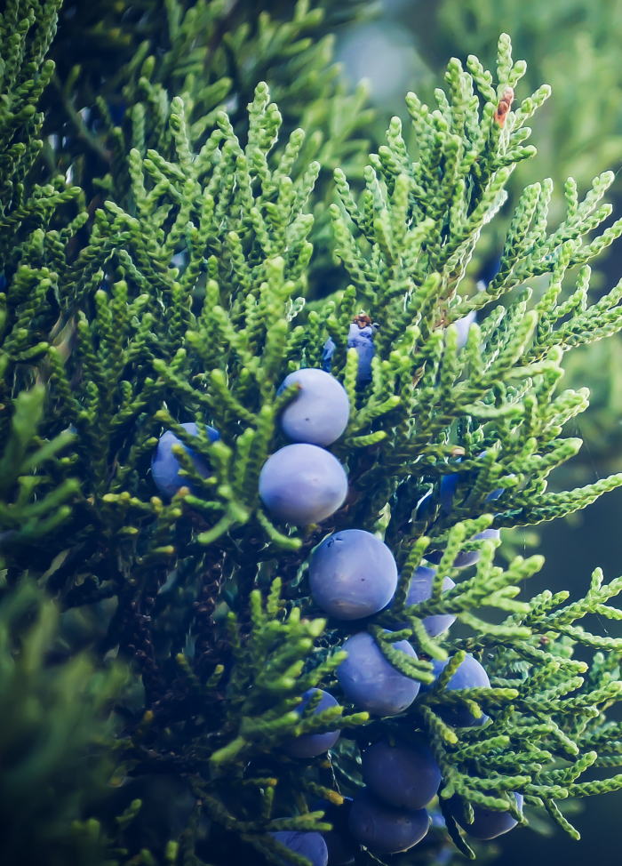 Free HTML5 Bootstrap Template by FREEHTML5.co