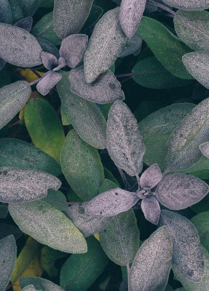 Free HTML5 Bootstrap Template by FREEHTML5.co