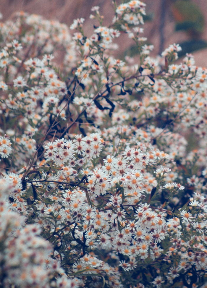 Free HTML5 Bootstrap Template by FREEHTML5.co